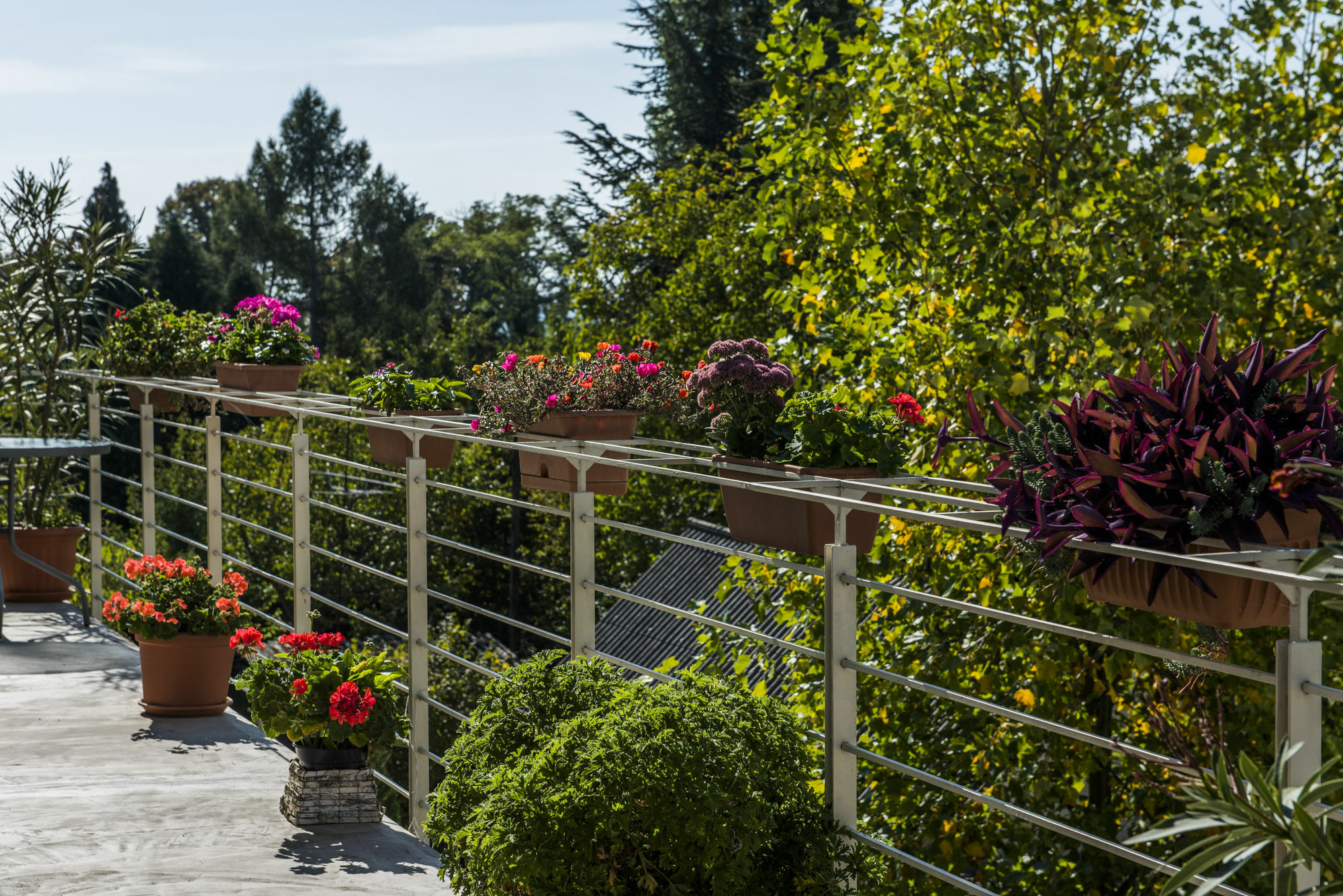 Feng Shui Wellness Apartmanhaz Heviz Exterior photo